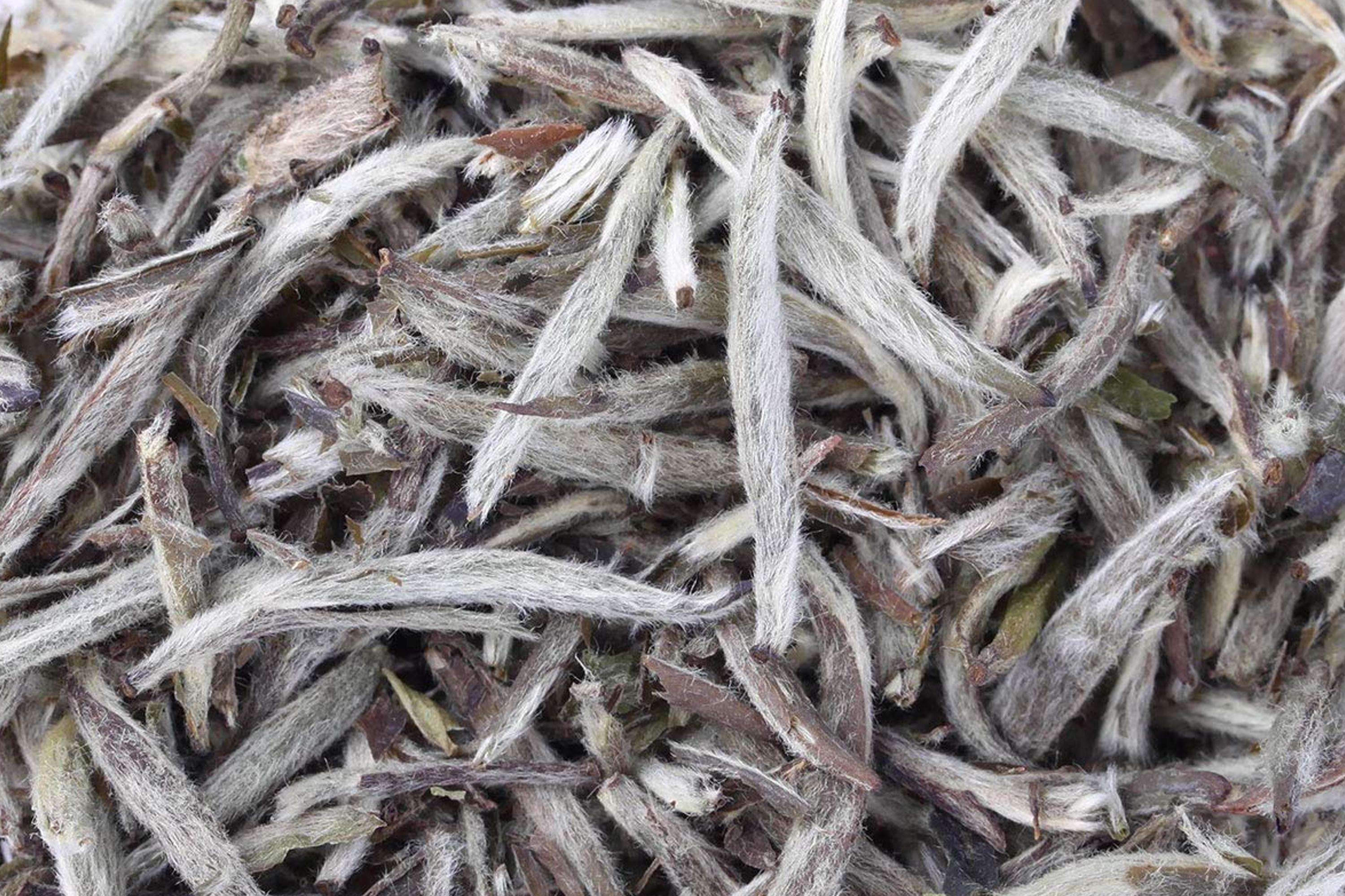 Rare White Teas